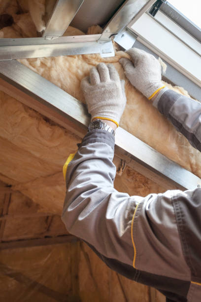 Best Crawl Space Insulation  in Triangle, VA