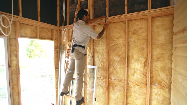 Best Eco-Friendly or Green Insulation Solutions  in Triangle, VA