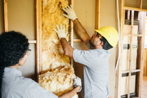 Best Wall Insulation Installation  in Triangle, VA